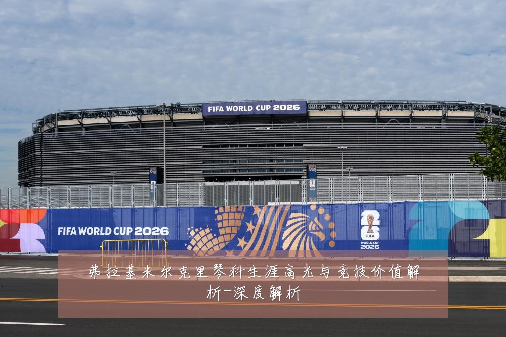 弗拉基米尔克里琴科生涯高光与竞技价值解析-深度解析