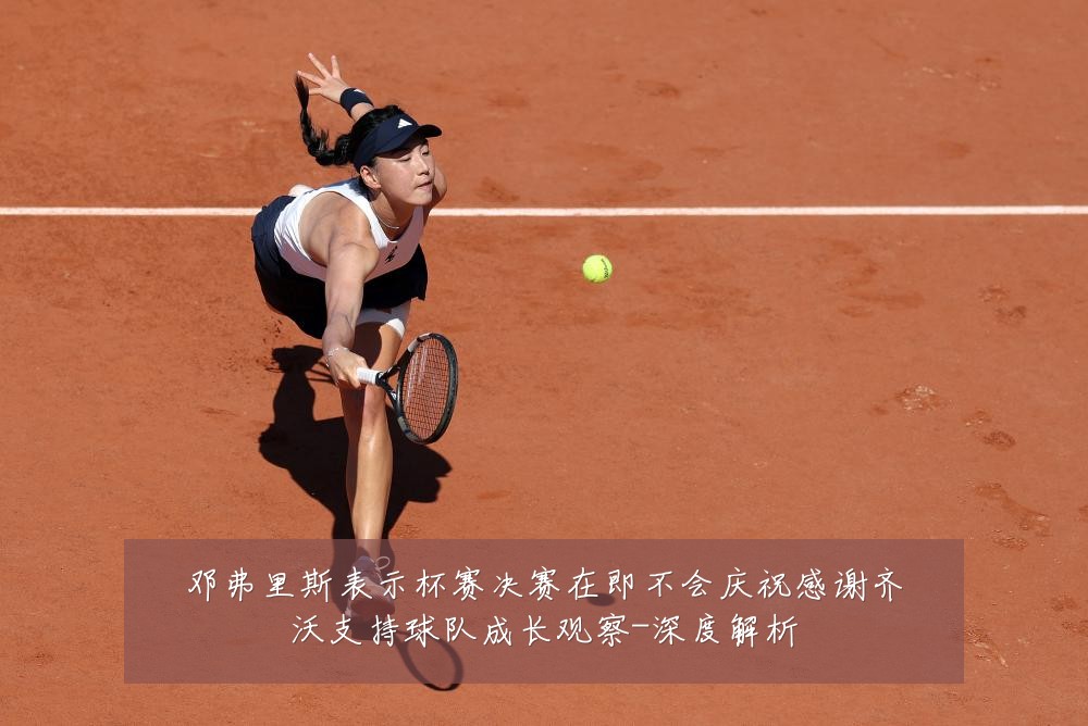 邓弗里斯表示杯赛决赛在即不会庆祝感谢齐沃支持球队成长观察-深度解析